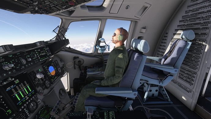 Microsoft Flight Simulator 2024 Screenshot 2024.11.24 - 20.34.55.36