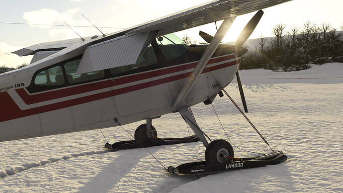 Microsoft Flight Simulator 2024-2025_12_01-03-38-41