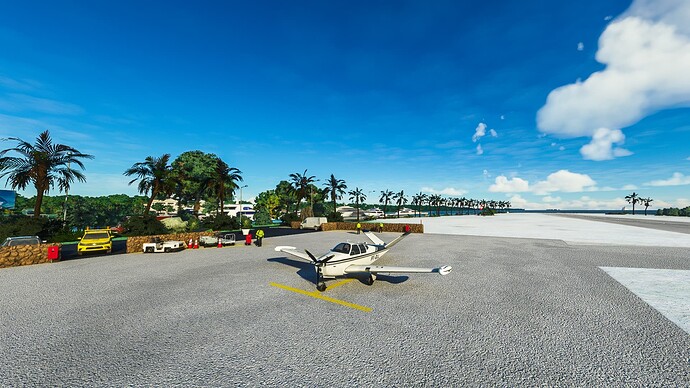 Microsoft Flight Simulator Screenshot 2022.04.26 - 08.15.05.88