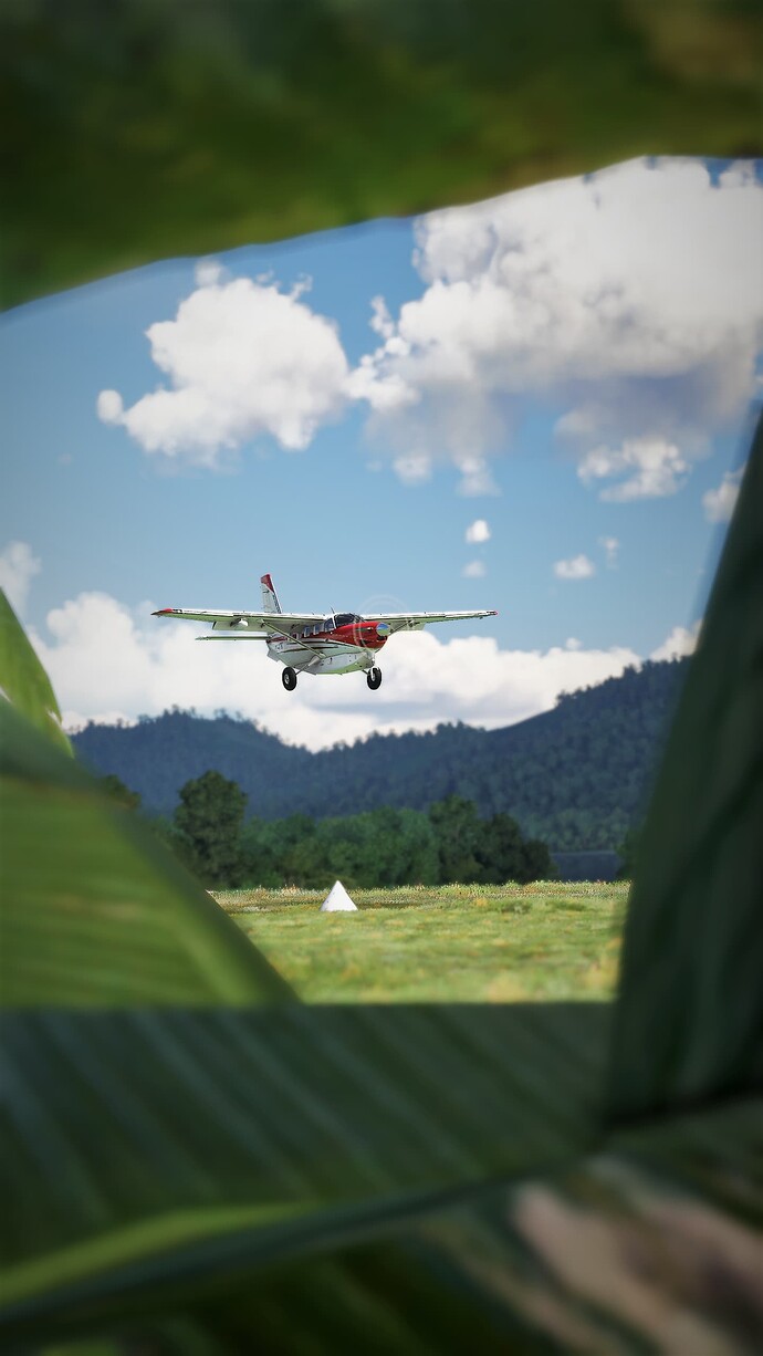 Microsoft Flight Simulator Screenshot 2022.01.26 - 21.41.24.19