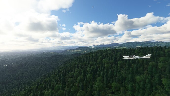 Screenshot 2023-08-11 1
