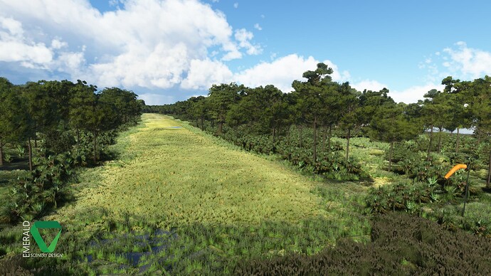 esd_bear_island_msfs_r03