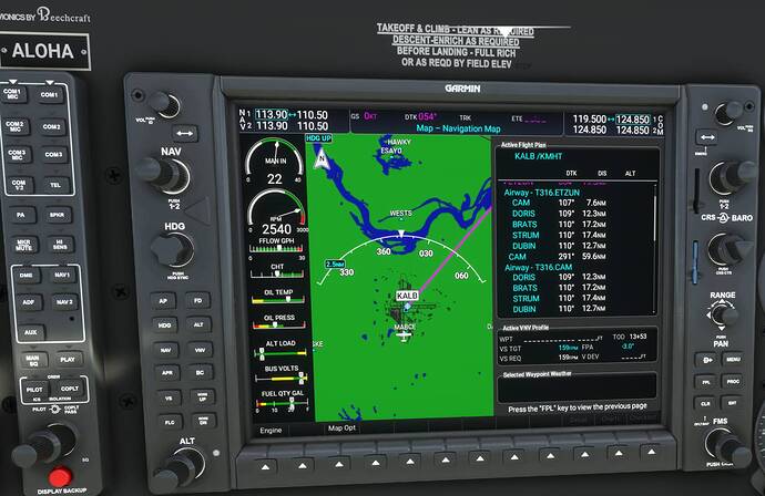 Microsoft Flight Simulator Screenshot 2021.08.21 - 13.43.13.70 (2)