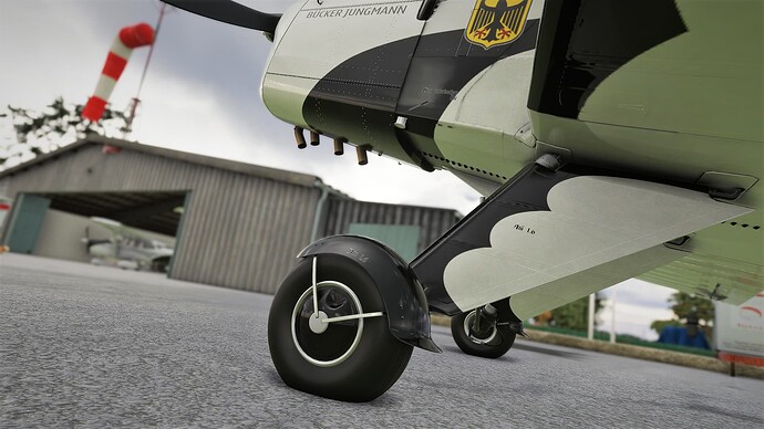 Microsoft Flight Simulator Screenshot 2022.01.22 - 11.03.09.66