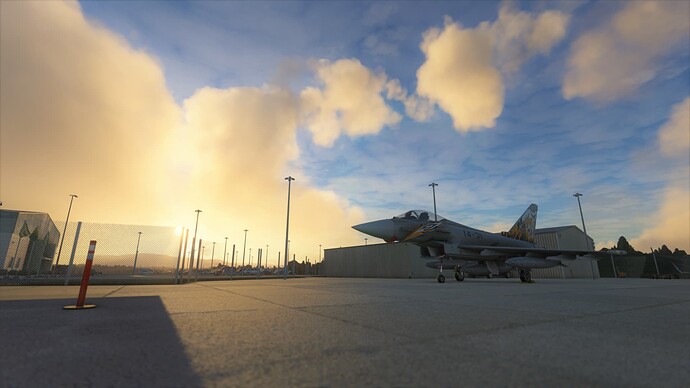 Microsoft Flight Simulator (88a)