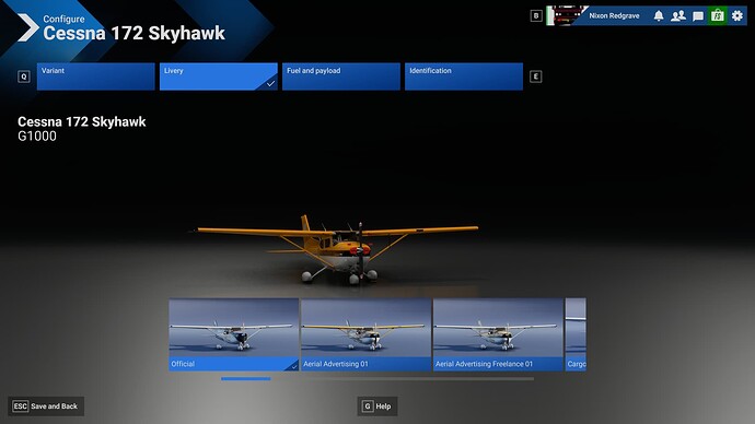 Microsoft Flight Simulator 2024 11_19_2024 12_37_02 PM