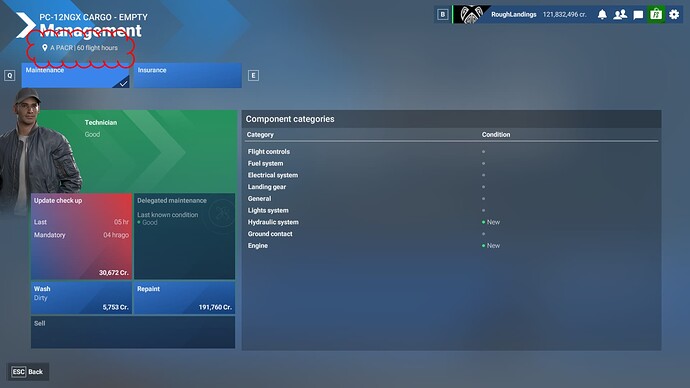 Microsoft Flight Simulator 2024 3_19_2025 1_55_17 PM