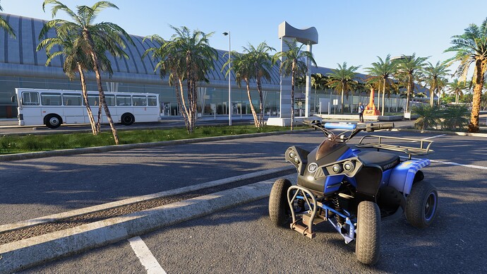 Microsoft Flight Simulator 2024 22_02_2025 03_41_13