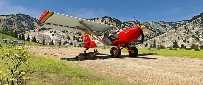 85U Soldier Bar Airstrip_02