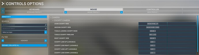 Settings -Mouse Cockpit