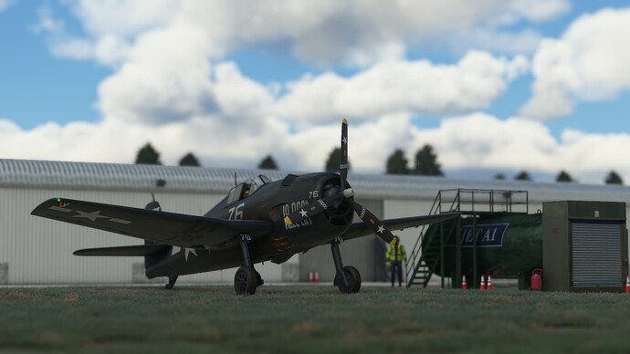 Microsoft Flight Simulator (318)