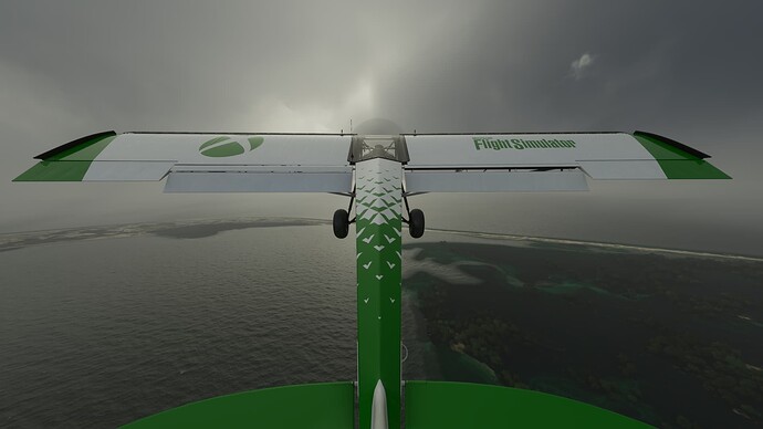Microsoft Flight Simulator 2022-02-13 11_31_55 PM