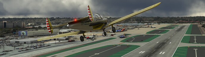 Microsoft Flight Simulator 4_10_2022 9_44_44 PM