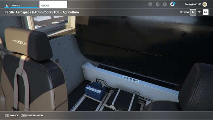 Microsoft Flight Simulator - 1.27.21.0 10_12_2022 8_46_02 PM