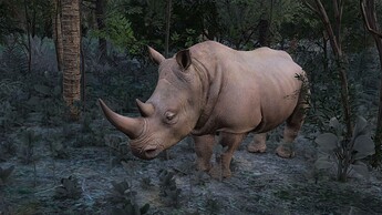 2025-01-10-20-16-58_white_rhino_found_in_india