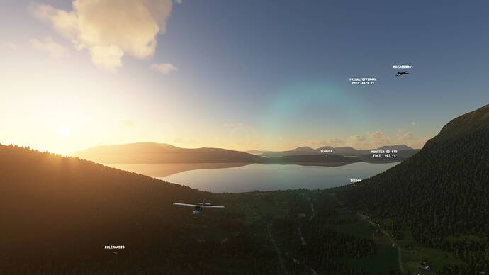 Microsoft Flight Simulator - 1.17.3.0 17.07.2021 20_58_05