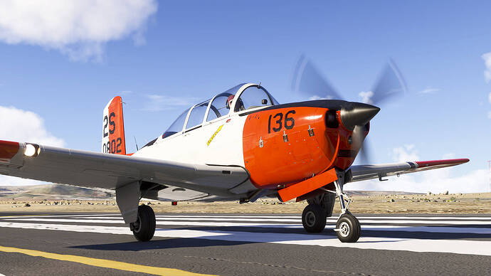 Microsoft Flight Simulator 2024-2026_01_09-17-35-22