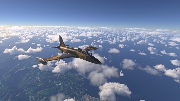 Microsoft Flight Simulator 2024-2025_05_07-17-28-45
