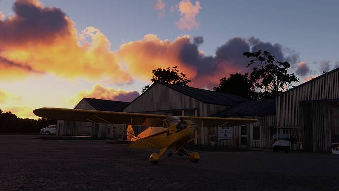 FlightSimulator2024 2025-07-31 19-48-27_950