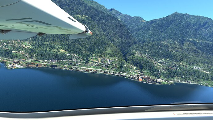 Microsoft Flight Simulator 8_8_2022 10_14_06 AM