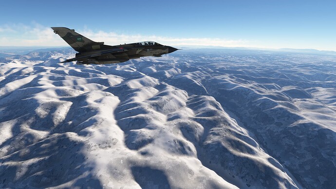 Microsoft Flight Simulator-2025_03_01-19-15-39