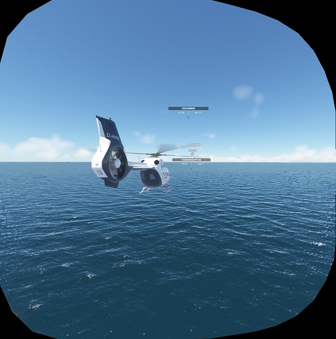FS2020_20220612_202552_NIS_85_20_L