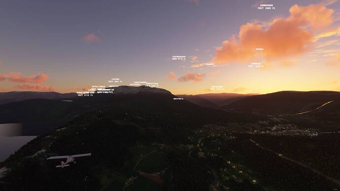 Microsoft Flight Simulator - 1.17.3.0 17.07.2021 22_25_36