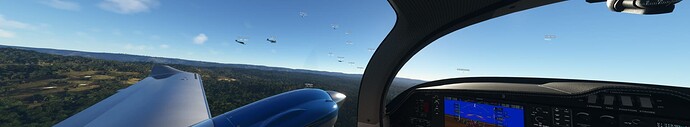 Microsoft Flight Simulator 1_13_2022 3_48_03 PM