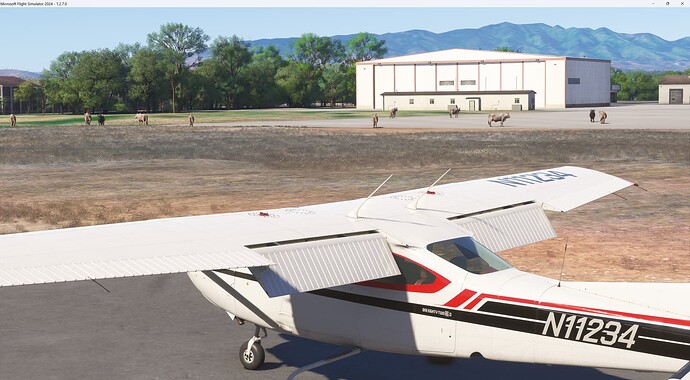 Microsoft Flight Simulator 2024 12_18_2024 11_54_47 AM