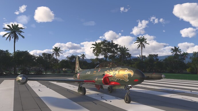 Microsoft Flight Simulator 2024-2025_06_21-09-52-15