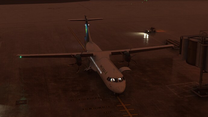 FlightSimulator_bm8B4Zo286