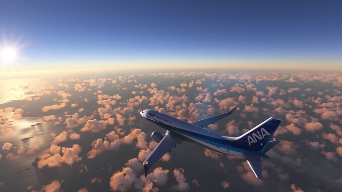 Microsoft Flight Simulator - 1.22.2.0 2_27_2022 3_53_52 AM