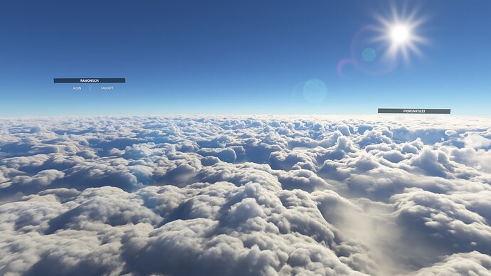 Microsoft Flight Simulator - 1.21.18.0 17.01.2022 10_32_51