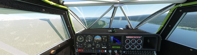 Microsoft Flight Simulator 5_24_2024 3_13_35 PM