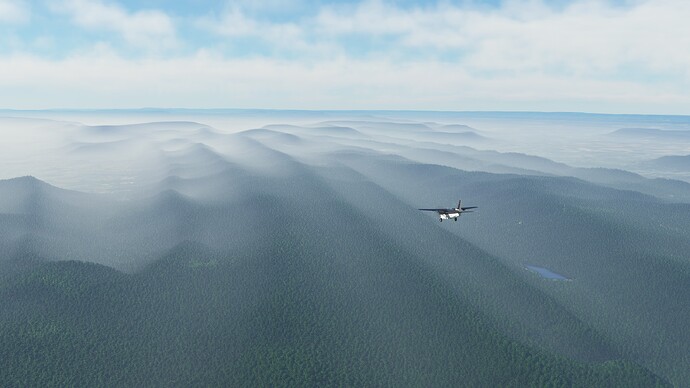 Fog