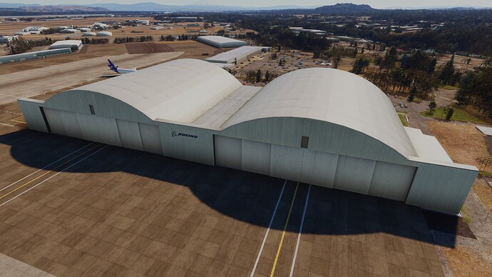 Microsoft Flight Simulator 21_03_2025 22_46_35