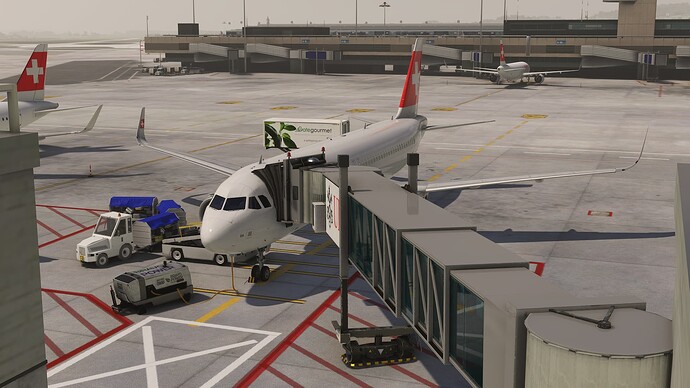 Microsoft Flight Simulator-2024_07_06-13-37-52