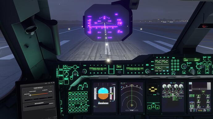 Microsoft Flight Simulator 2024 2_14_2025 8_52_58 AM