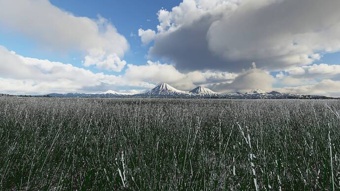 Screenshot (3024)