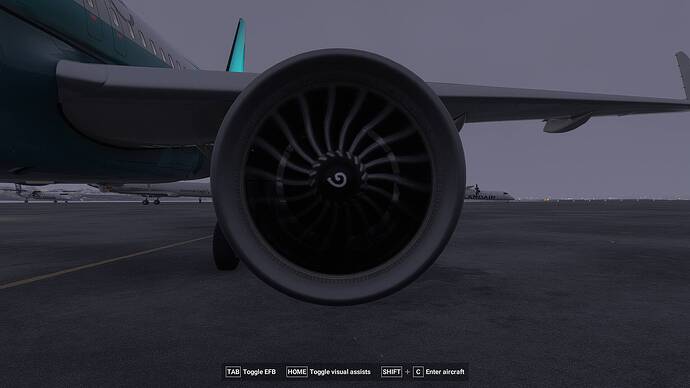 Microsoft Flight Simulator 2024_2026.02.23-23.35