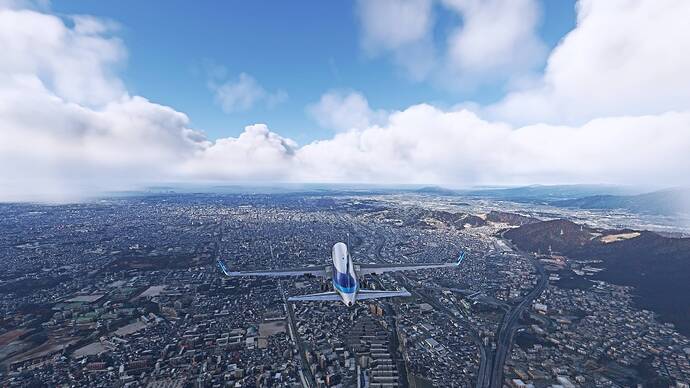 Microsoft Flight Simulator Screenshot 2026.01.01 - 23.48.26.01