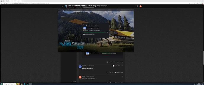 MSFS patch