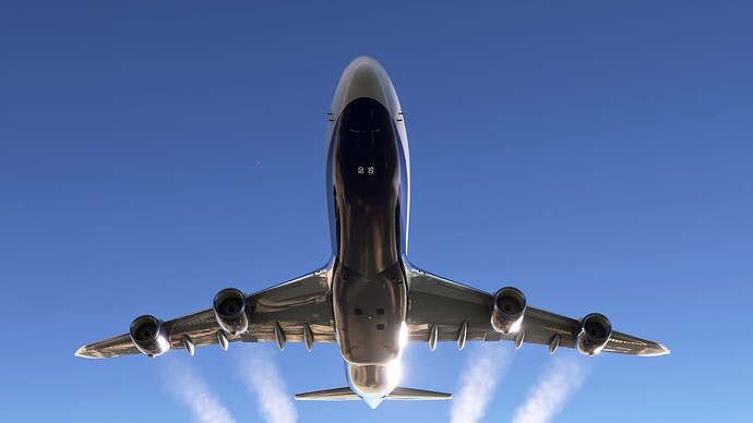 flightsimulator258