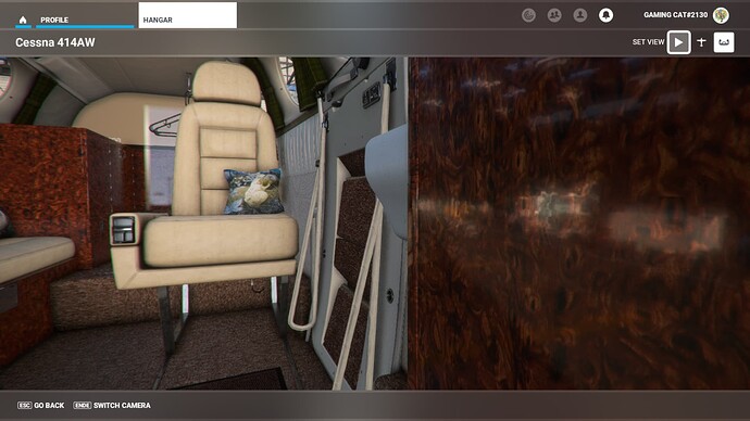 Microsoft Flight Simulator 6_19_2022 9_58_51 AM