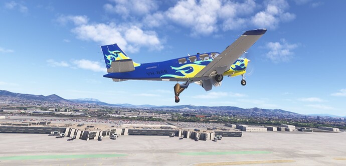 Microsoft Flight Simulator 2024-2024_11_23-18_06_07-01