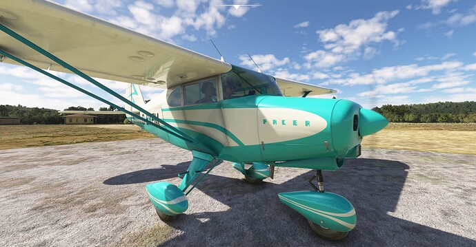 FlightSimulator_sbVcAcAYXb