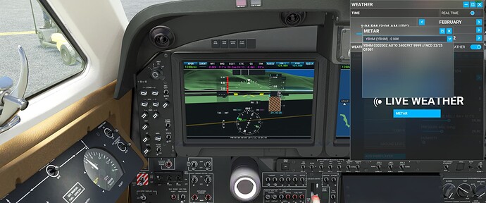 Microsoft Flight Simulator Screenshot 2022.02.03 - 13.30.32.04