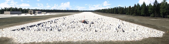 Microsoft Flight Simulator 2024 Screenshot 2025.06.10 - 10.50.23.77