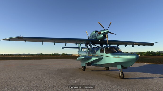 Microsoft Flight Simulator 2024 11_20_2024 7_35_40 AM