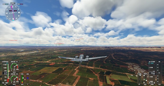 Microsoft Flight Simulator Screenshot 2022.03.24 - 20.45.24.56